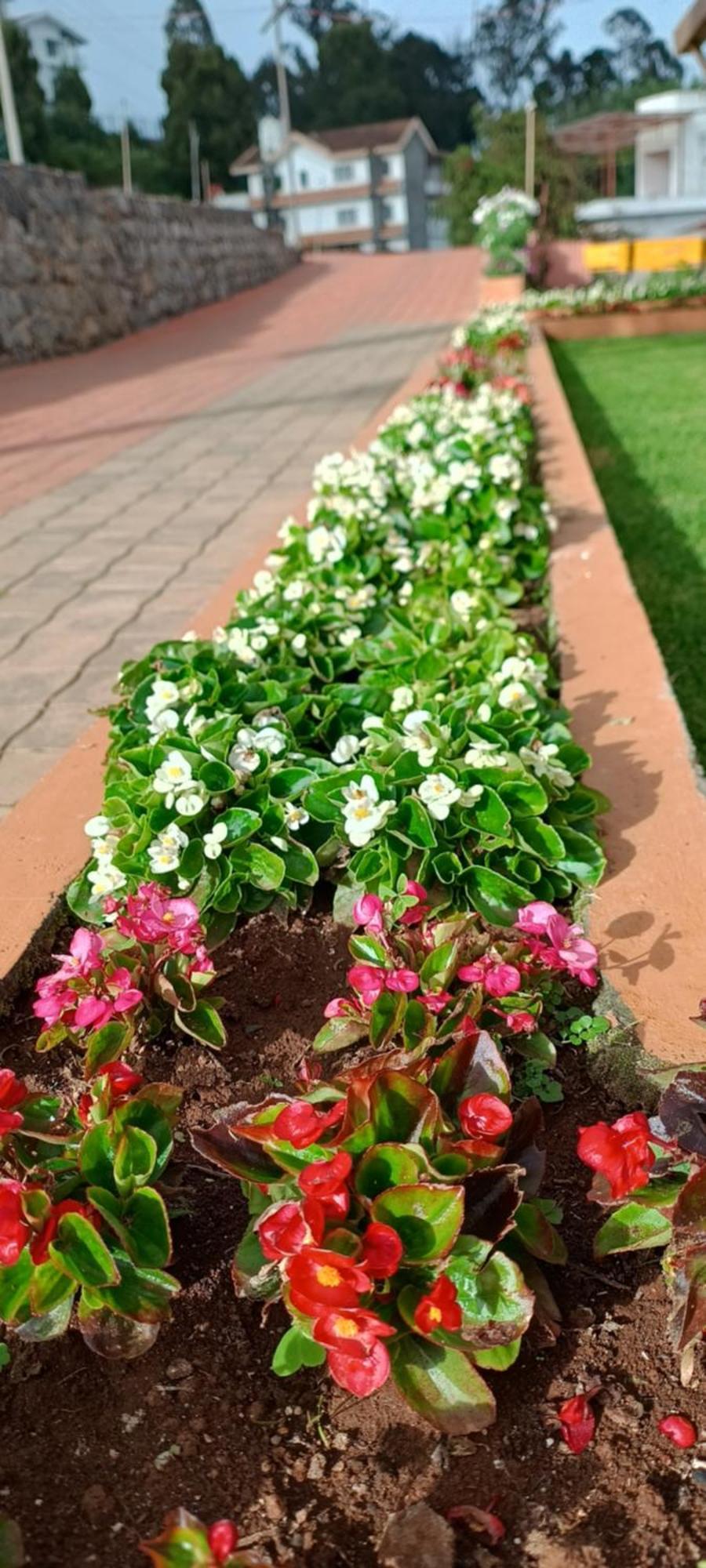 Yantra Resort By Spree Ooty Extérieur photo